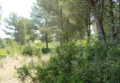 Suelo urbano en venta en la España, Dénia, ref: TR40427 foto