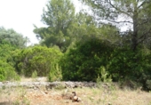 Suelo urbano en venta en la España, Dénia, ref: TR40427 foto