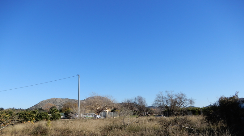 Alicante - Pedreguer - 10004m2