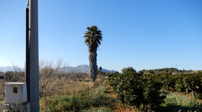 Alicante - Pedreguer - 10004m2