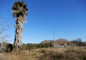 Terreno no urbanizable en venta en la España, Pedreguer, ref: TR44966 foto