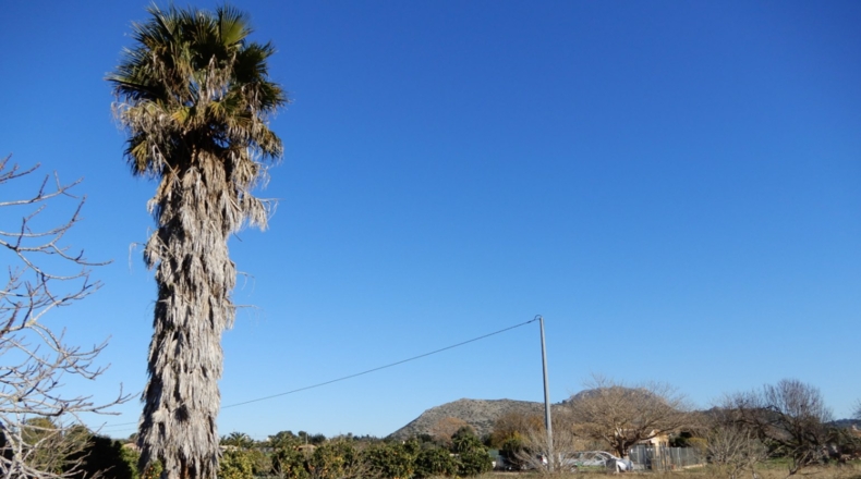 Alicante - Pedreguer - 10004m2
