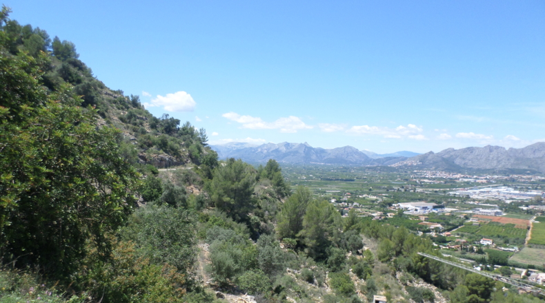 Alicante - Pedreguer - 1062m2