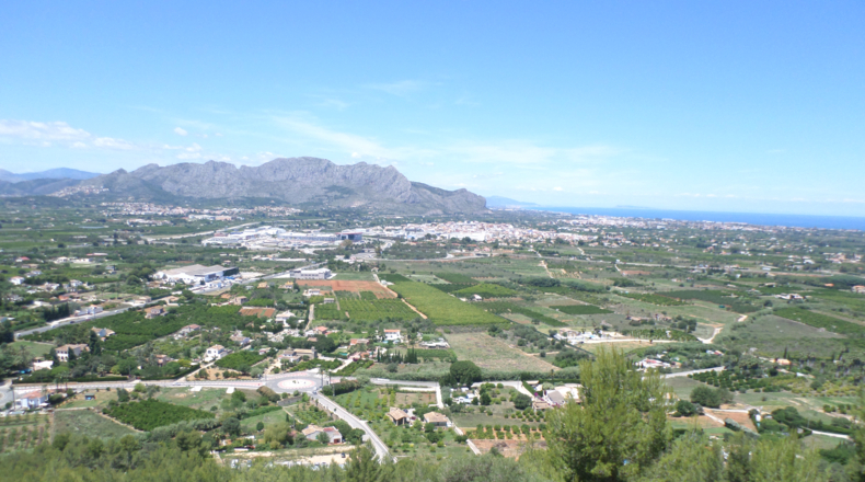Alicante - Pedreguer - 1062m2
