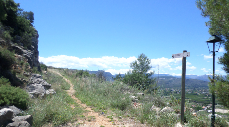 Alicante - Pedreguer - 1062m2