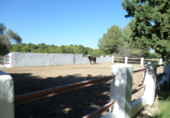 Suelo urbano en venta en la España, Sella, ref: TR81350 foto