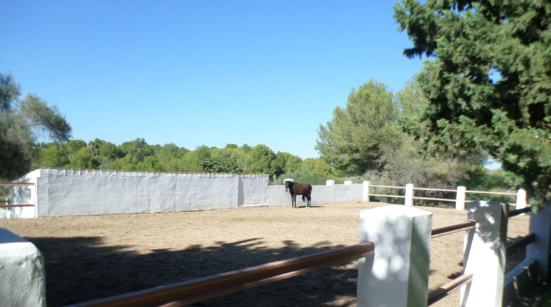 Alicante - Pedreguer - 1062m2