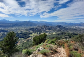 Foto 16