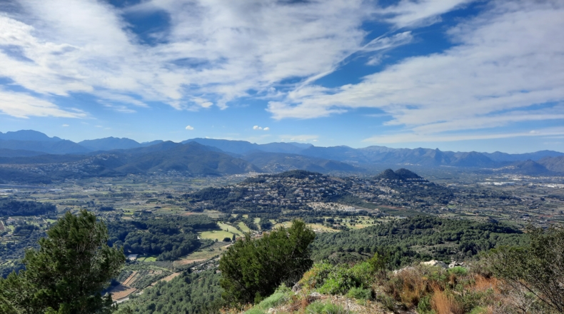 Alicante - Pedreguer - 1062m2
