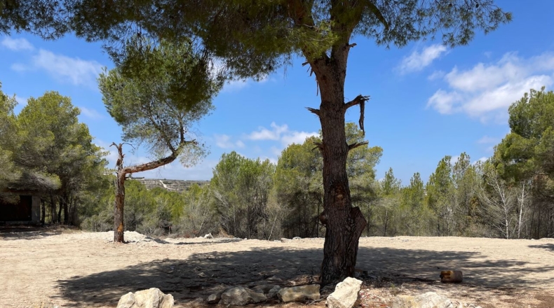 Alicante - Lloma la Mata - 850m2