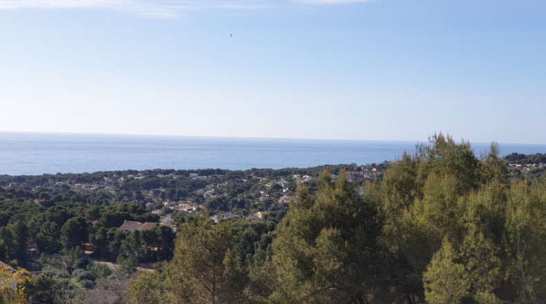 Alicante - Lloma la Mata - 800m2