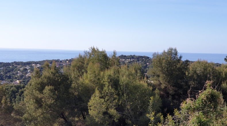 Alicante - Lloma la Mata - 800m2