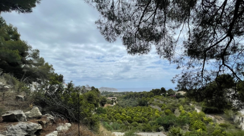 Alicante - Lloma la Mata - 1598m2