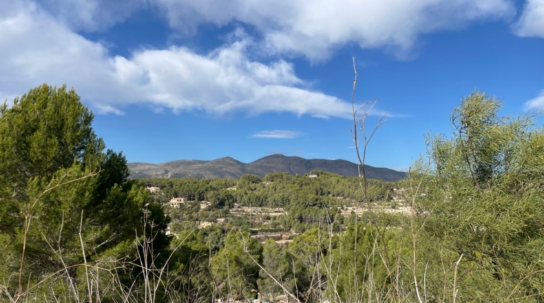 Alicante - Calpe - 1000m2