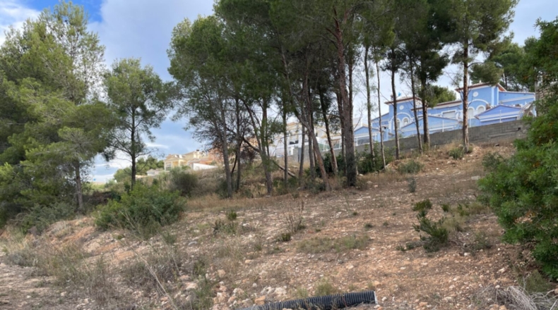Alicante - Calpe - 1000m2