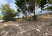Suelo urbano en venta en la España, Calpe, ref: TR110760 foto