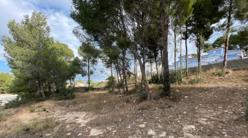 Alicante - Calpe - 1000m2