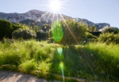 Parcela urbanizable en venta en la España, Dénia, ref: TR26474 foto