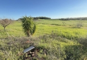 Terreno no urbanizable en venta en la España, Gibraleón, ref: TR228283 foto