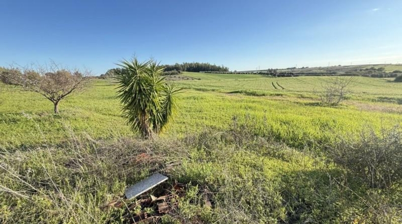 Huelva - Gibraleón - 5324m2