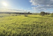 Terreno no urbanizable en venta en la España, Gibraleón, ref: TR228283 foto