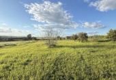Terreno no urbanizable en venta en la España, Gibraleón, ref: TR228283 foto