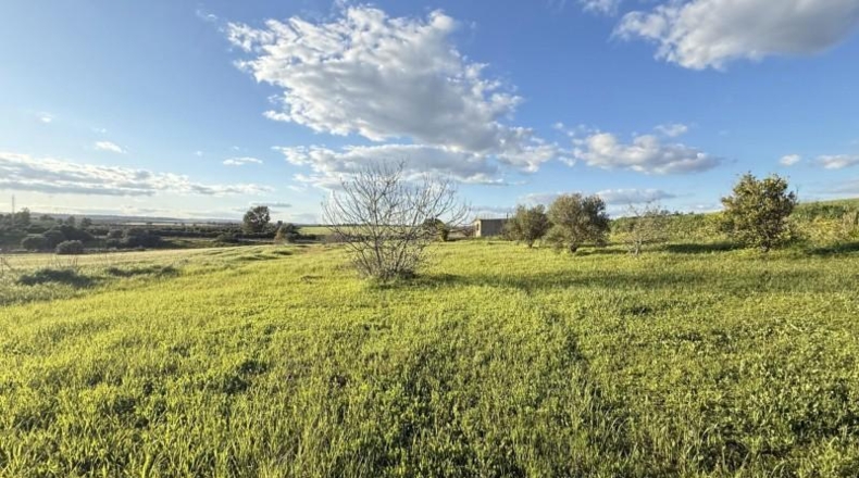 Huelva - Gibraleón - 5324m2