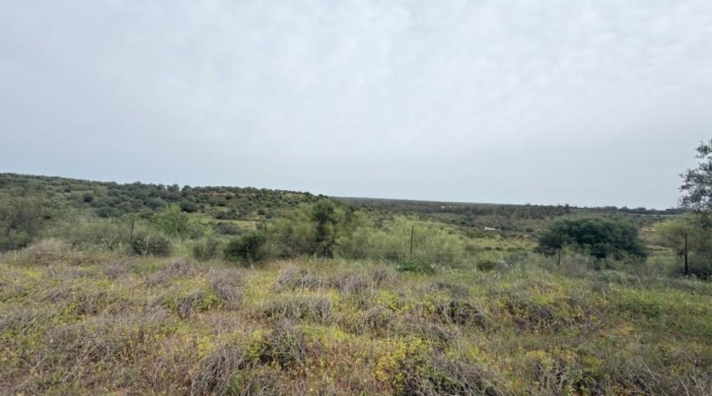 Huelva - Niebla - 16000m2