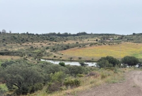 Foto 19