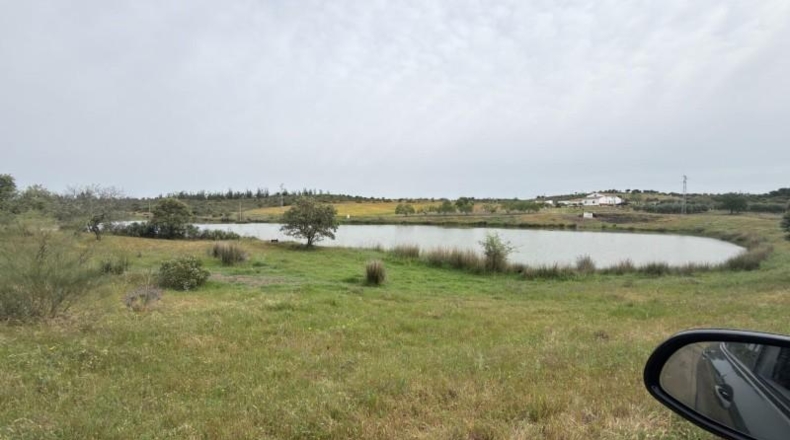 Huelva - Niebla - 16000m2