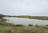 Terreno no urbanizable en venta en la España, Niebla, ref: TR403778 foto
