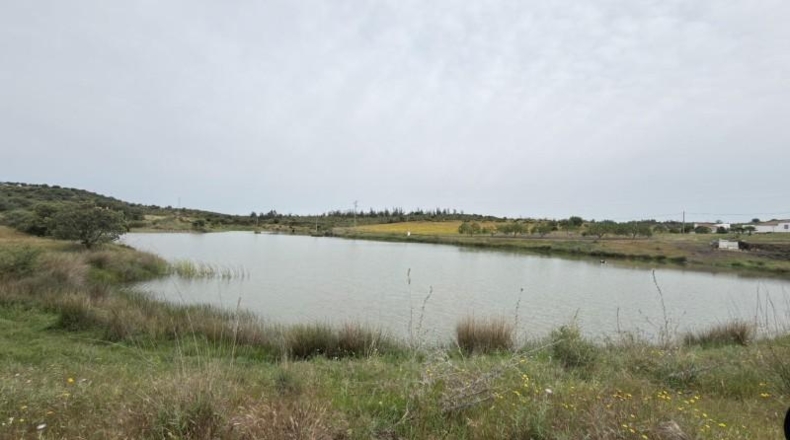 Huelva - Niebla - 16000m2