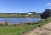 Terreno no urbanizable en venta en la España, Niebla, ref: TR403778 foto