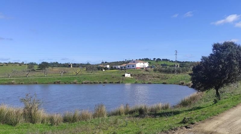 Huelva - Niebla - 16000m2