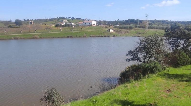 Huelva - Niebla - 16000m2