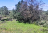 Terreno no urbanizable en venta en la España, Niebla, ref: TR403778 foto