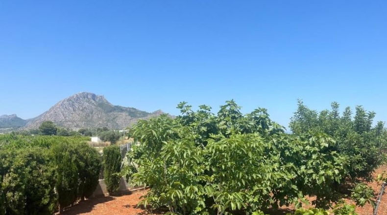 Alicante - Dénia - 2997m2