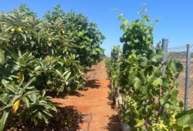 Foto 6