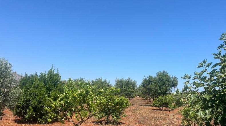 Alicante - Dénia - 2997m2
