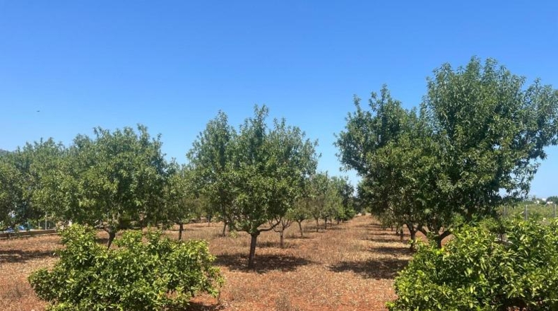 Alicante - Dénia - 2997m2