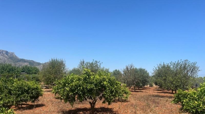 Alicante - Dénia - 2997m2