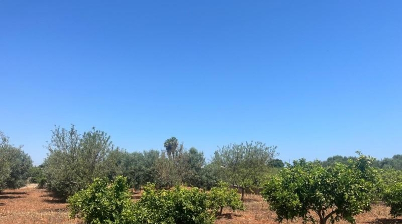 Alicante - Dénia - 2997m2