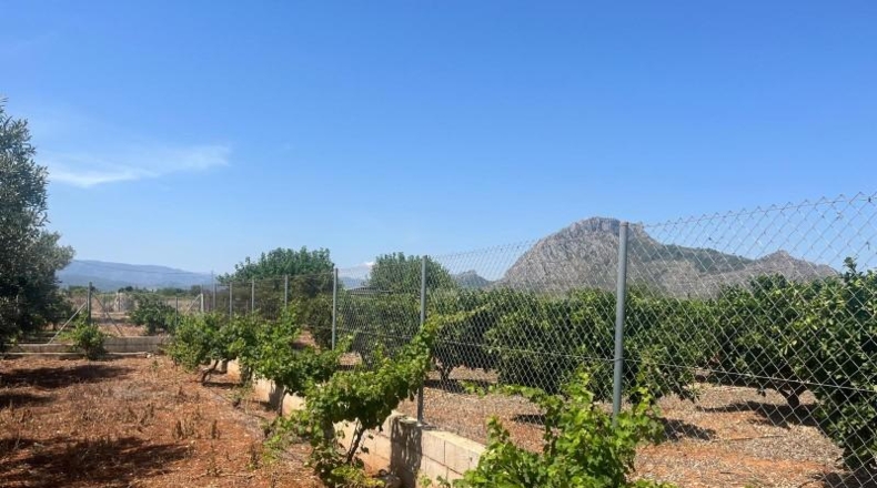 Alicante - Dénia - 2997m2