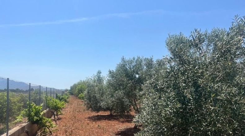 Alicante - Dénia - 2997m2