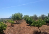 Terreno no urbanizable en venta en la España, Dénia, ref: TR415880 foto