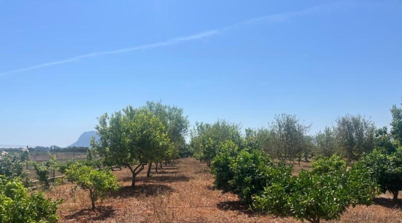 Alicante - Dénia - 2997m2