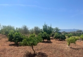 Terreno no urbanizable en venta en la España, Dénia, ref: TR415880 foto