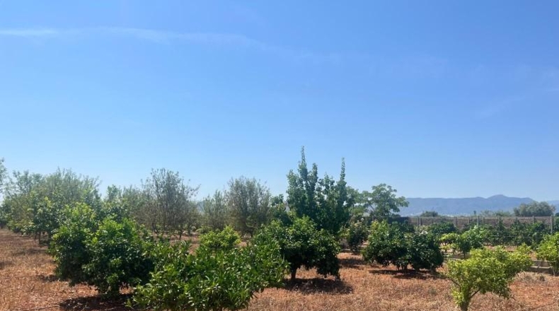 Alicante - Dénia - 2997m2