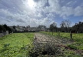 Non-developable land for sale on España, Tomiño, ref: TR378357 photo