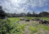 Non-developable land for sale on España, Tomiño, ref: TR378357 photo
